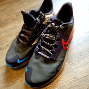 Nike Air Zoom Pegasus